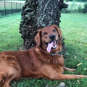 Meet your Posher, Kaylee